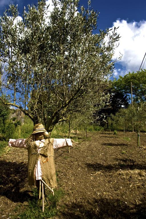 阿勃丝Agriturismo Satanca别墅 外观 照片